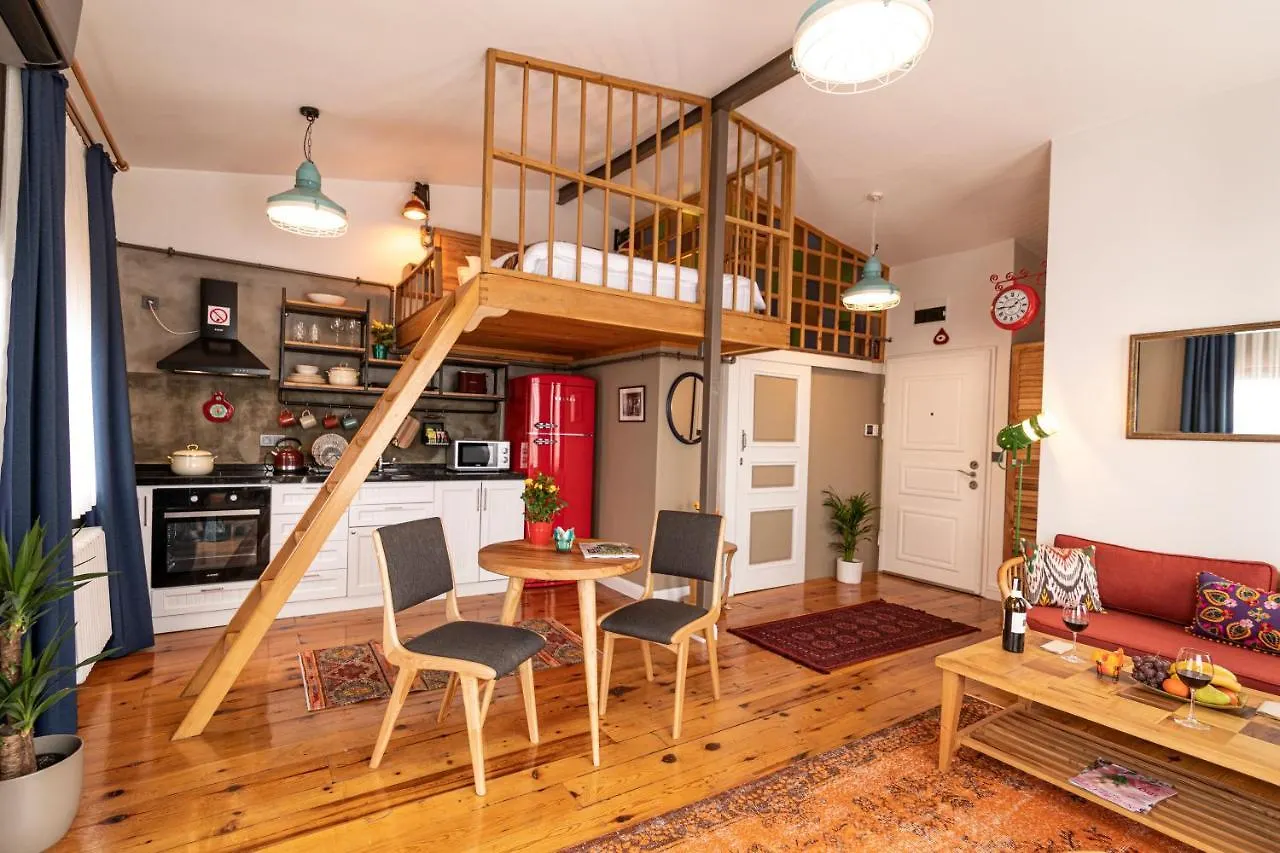 The Istanbuller Apartment Turcia