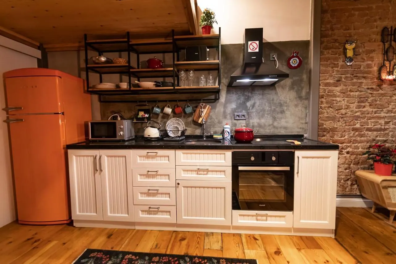 The Istanbuller Apartment Turcia