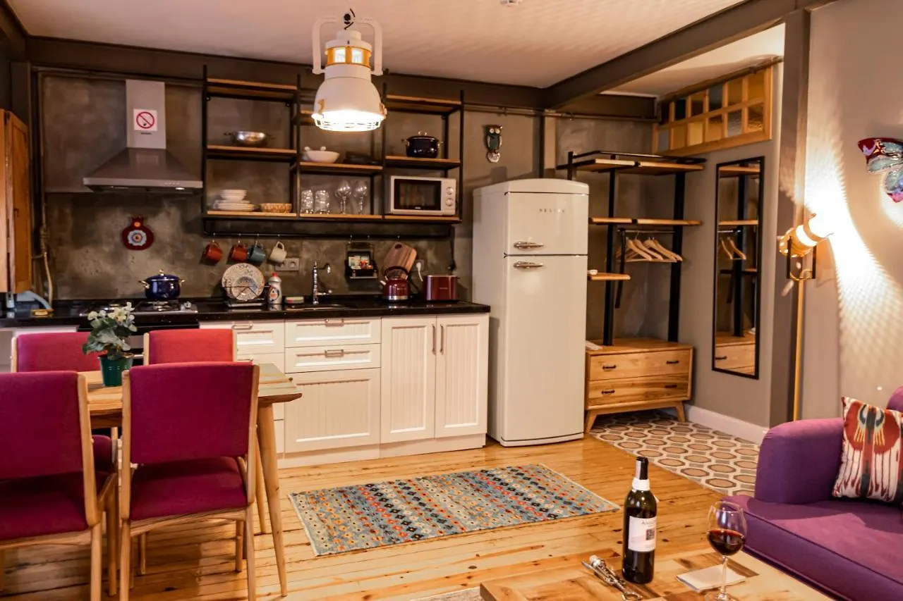 The Istanbuller Apartment  Istanbul