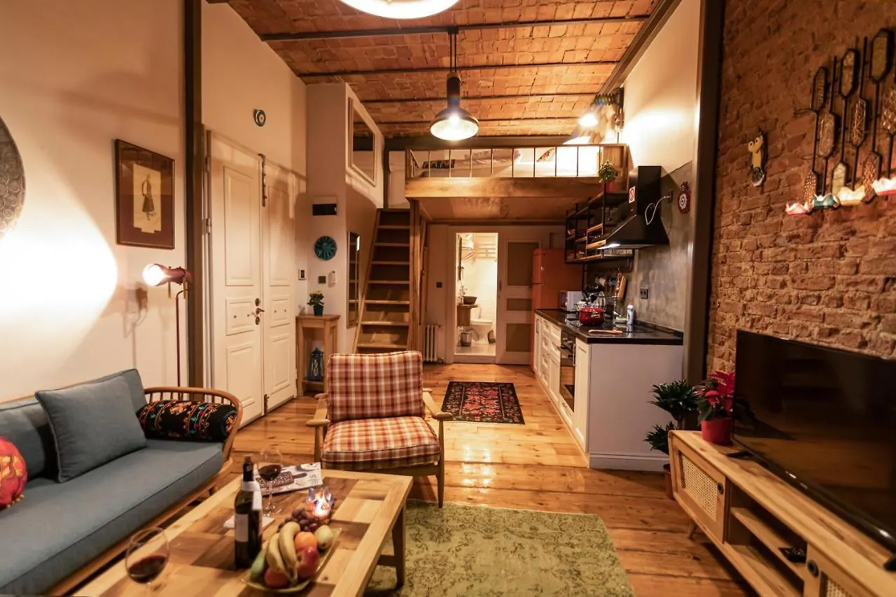 The Istanbuller Apartment  Istanbul