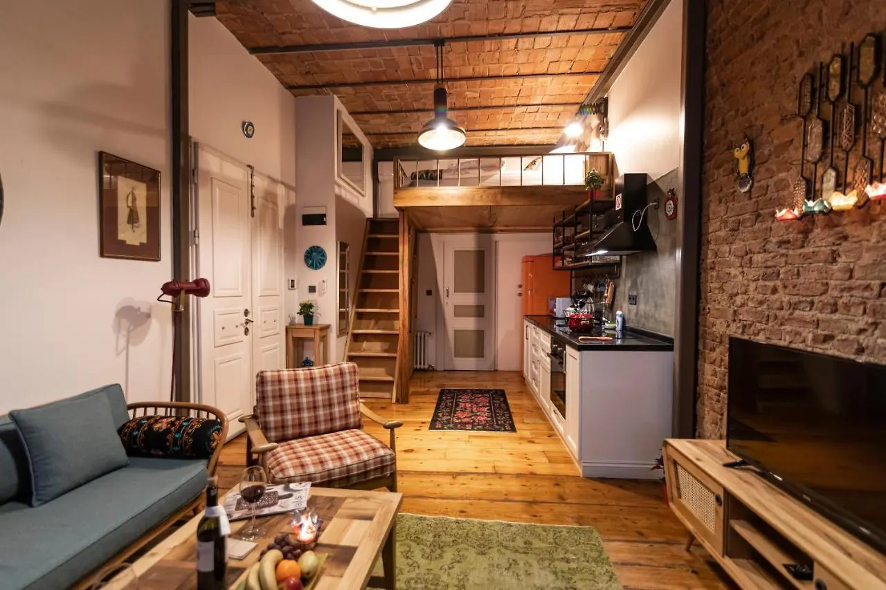 The Istanbuller Apartment Turcia