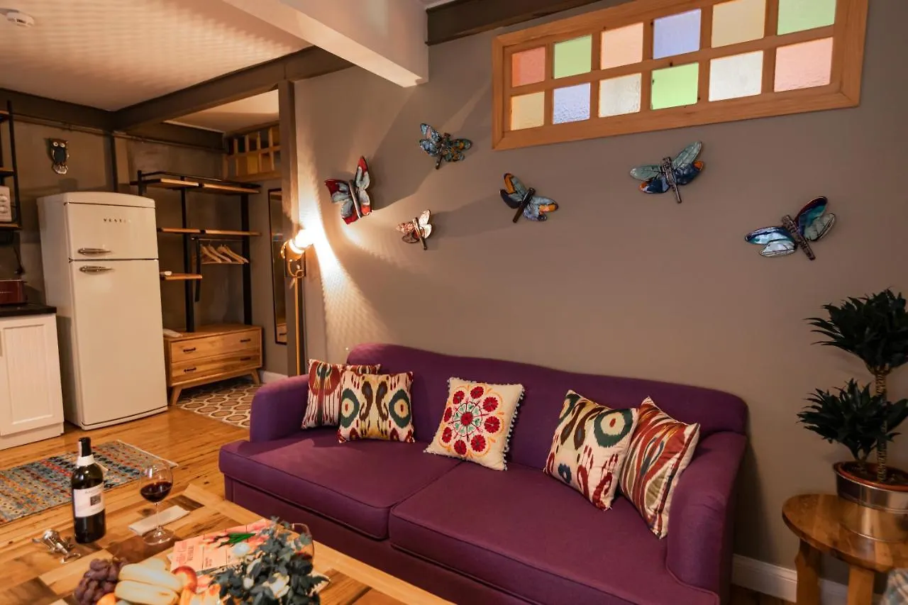 The Istanbuller Apartment Turkey